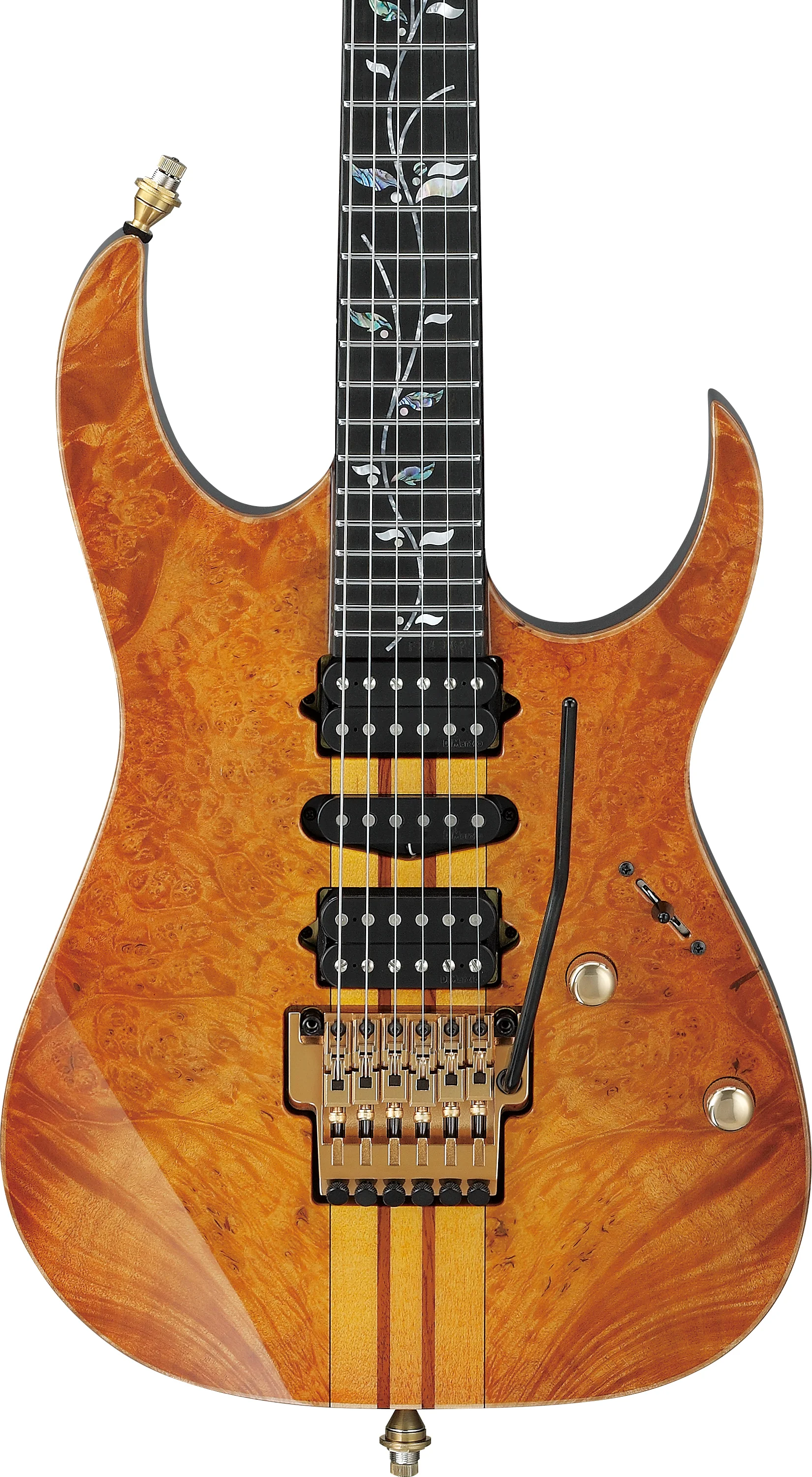 IV1RG Visions RG